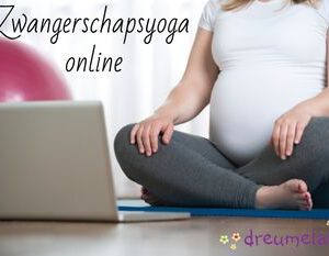 Zwangerschapsyoga online 2