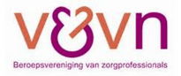 V&vn logo